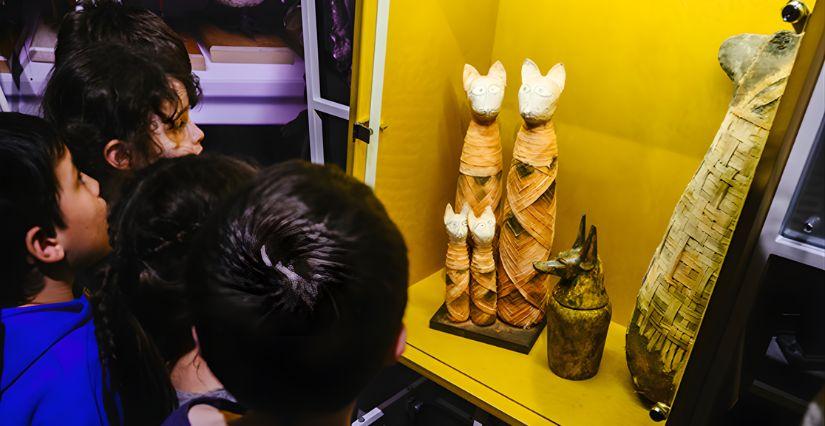 Atelier "Le défi en famille : L’aventure Chrono’lab !" au musée des Confluences - Lyon 2e