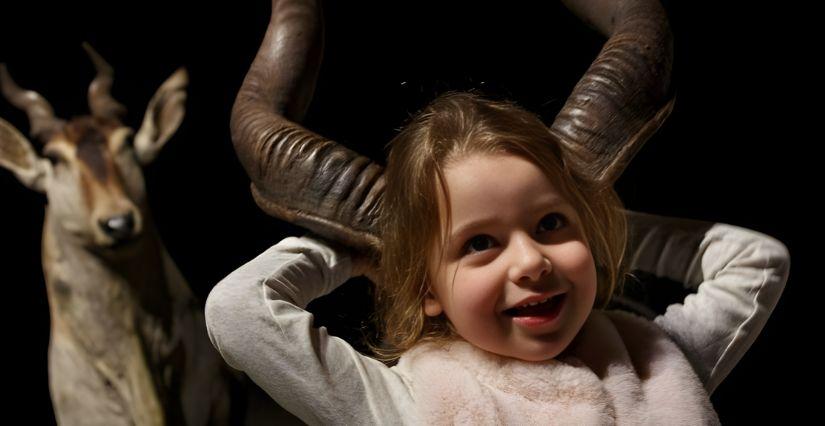 Visite "La ronde des animaux " 2-5 ans au musée des Confluences - Lyon 2e
