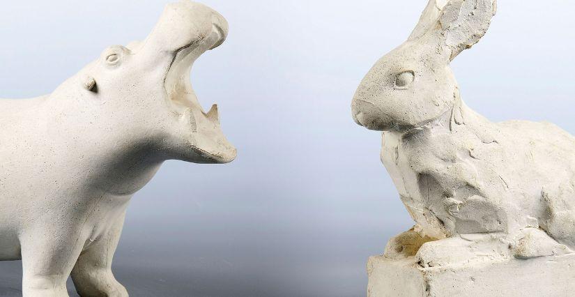 Visites en famille "Le carnaval des animaux" 6-12 ans au Musée des Beaux-Arts, Lyon 1er