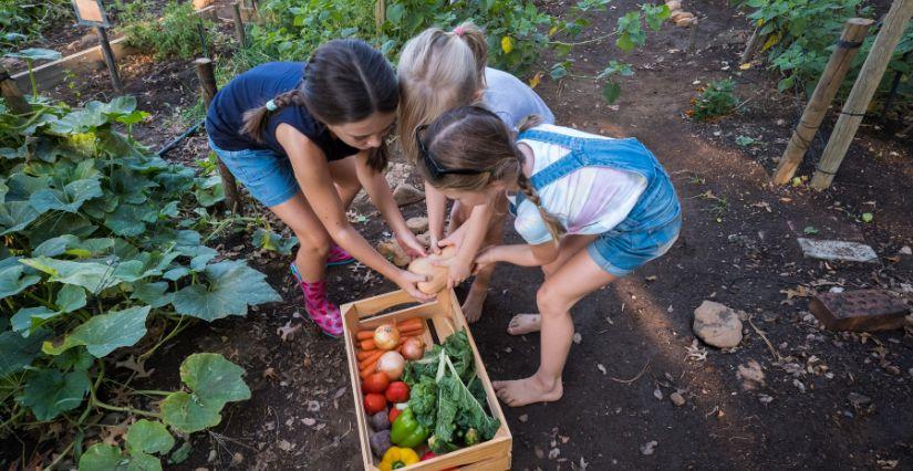 Atelier enfant "Secrets du potager" 6-12 ans avec Lyon Nature au Parc de la Tête d'Or - Lyon 6e