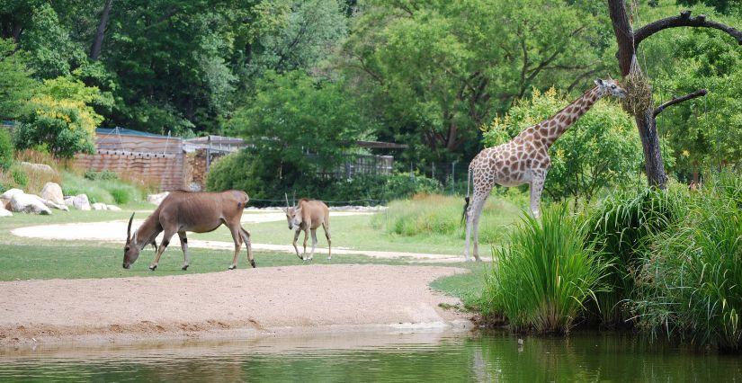 Visite en famille "Les Coulisses de la Plaine " au Parc de la Tête d'Or avec Lyon Nature - Lyon 6e