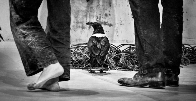 Spectacle en famille "Là" dès 10 ans au Théâtre des Célestins à Lyon