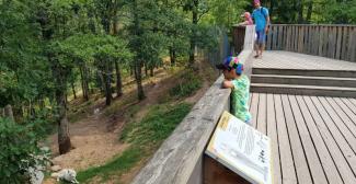 Le Parc de Courzieu : L'aventure sauvage à 45 min de Lyon